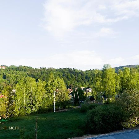 Apartamenty "Kwiaty Nocy" I "W Krainie Mchu" - Висла Екстериор снимка